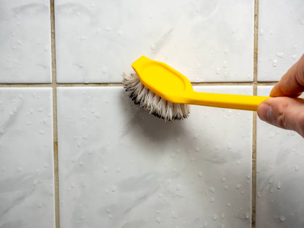 Best Professional Mold Removal  in Double Springs, AL