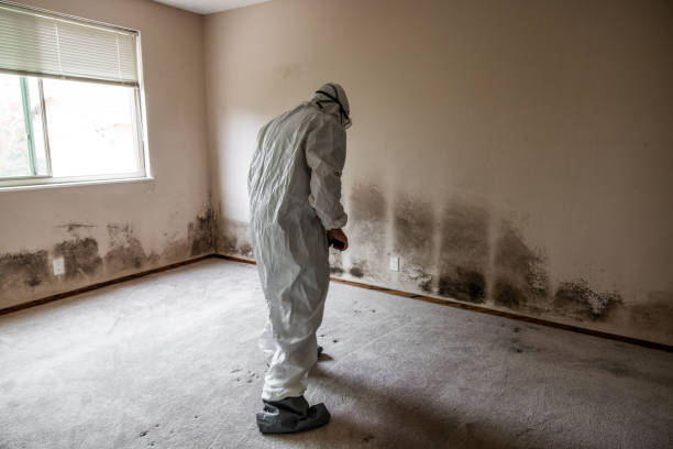 Best Residential Mold Removal  in Double Springs, AL