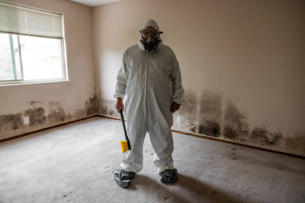 Best Certified Mold Removal  in Double Springs, AL